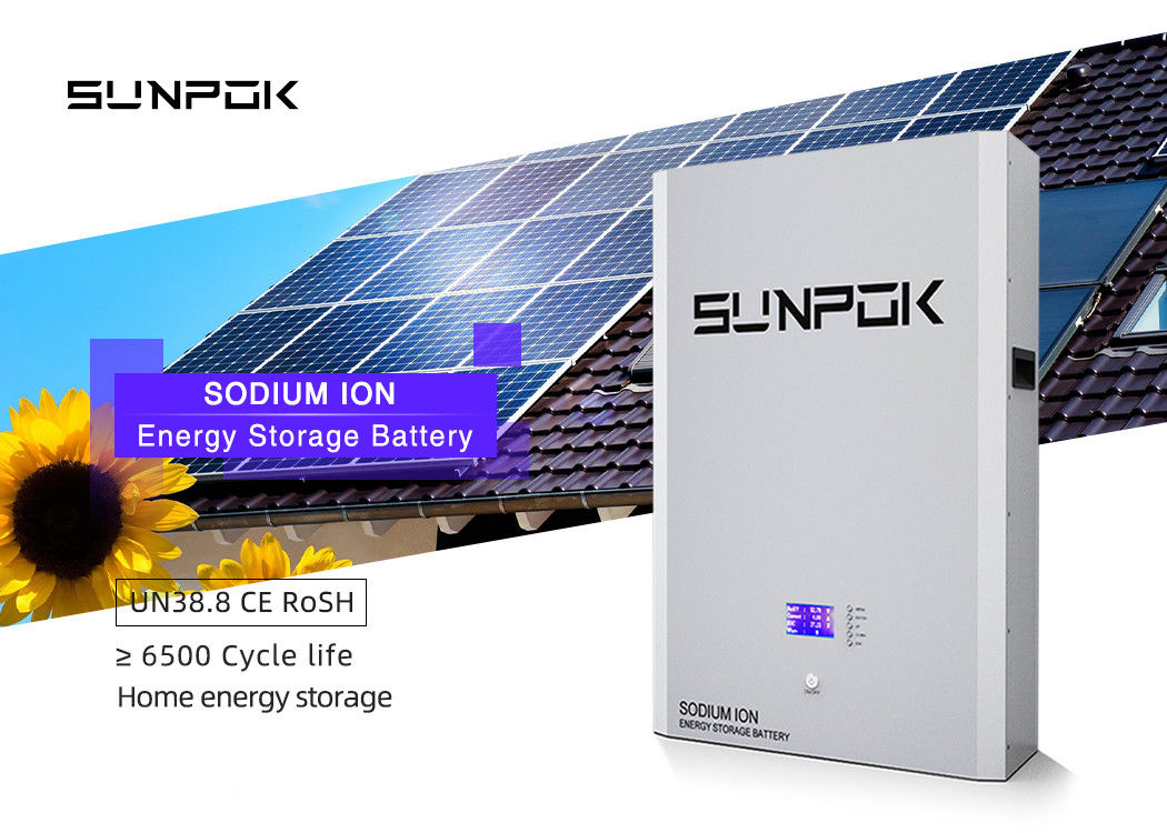 48V 10kwh 나트륨 이온 배터리 나트륨 이온 저장 배터리 태양 전력 은행 전력 벽 나트륨 이온 51.2V 200Ah 배터리